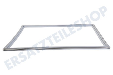 LG Kühlschrank ADX73590902 Türgummi Kühlschrank
