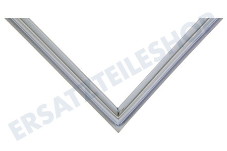 LG Kühlschrank ADX73590902 Türgummi Kühlschrank