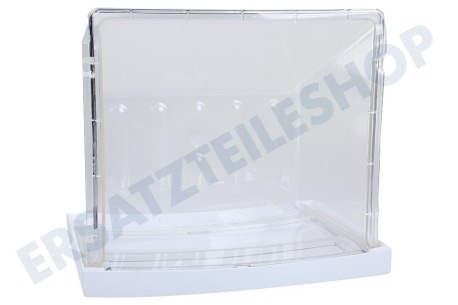 LG Kühlschrank Gefrier-Schublade Transparente Font, Gefrierfachschublade