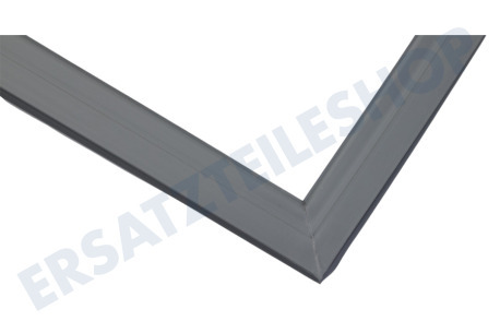 Haier Kühlschrank 0060834228C Dichtungsgummi Kühlschrank