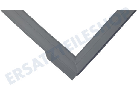 Haier Kühlschrank 0060834228C Dichtungsgummi Kühlschrank