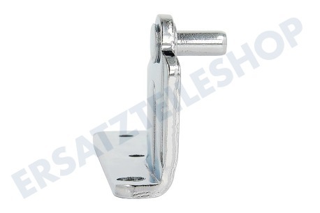 Haier Kühlschrank 0060120070B Scharnier Mitte