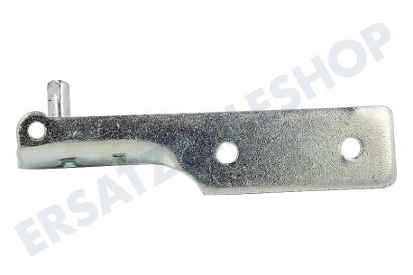 Haier Kühlschrank 0060109527 Scharnier mitte