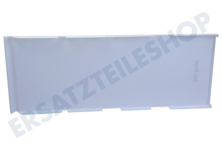 Haier Kühlschrank 0060222060A Abdeckplatte der Beleuchtung hinten