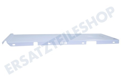 Haier Kühlschrank 0060222060A Abdeckplatte der Beleuchtung hinten