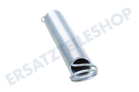 ELU 760295-01 Feder von Sägeblattschutz