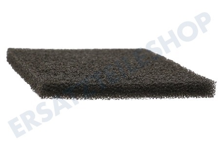 AEG Staubsauger AEF03 Motorfilter
