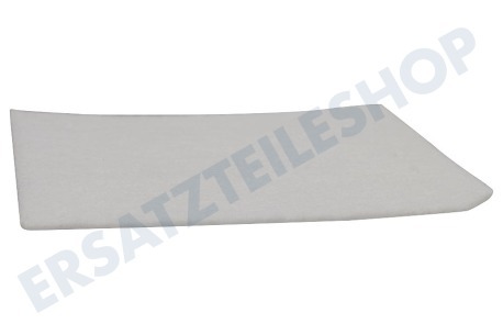 Philips Staubsauger Filter Einlassfilter