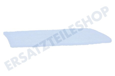 Nilfisk Staubsauger Filter Motorfilter