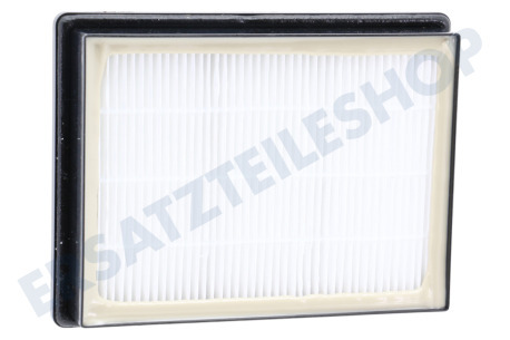 Alternative Staubsauger Filter Hepa-Filter H12