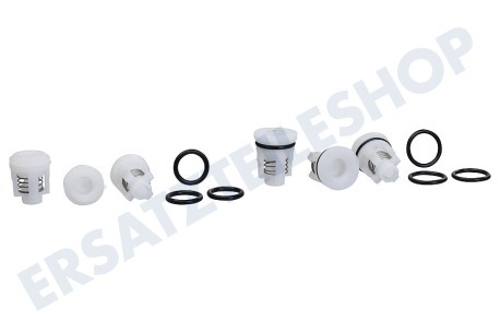 Nilfisk Hochdruck Druckventil Set