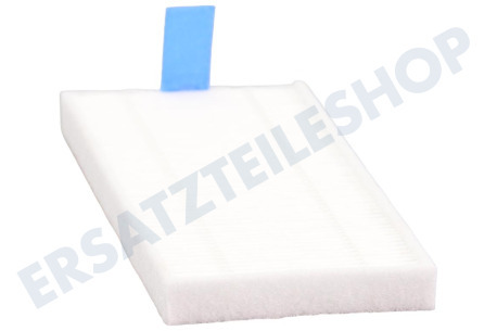 Rowenta ZR-130002 Explorer-Pinsel- und Filterset