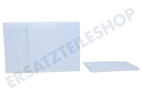 Karcher Staubsauger 2.889-119.0 Filter Motorfilter