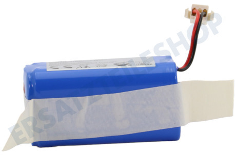 Blaupunkt Akku Lithiumbatterie 2500mAh