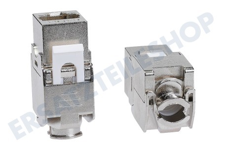 Hirschmann IDC 1000M/2 Daten-Wandkontaktdose, CAT6A 2-fach