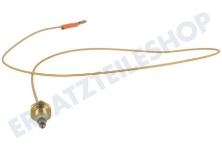 Hotpoint Herd 52986, C00052986 Thermoelement von Kochplatte