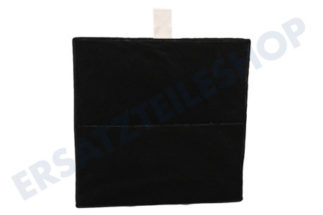 Neff Abzugshaube Filter Carbon mit Lippe