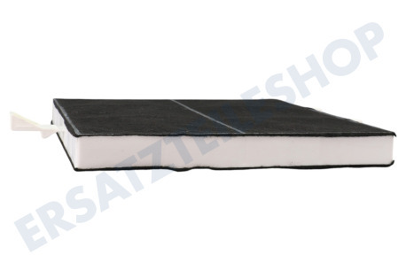 Neff Abzugshaube Filter Carbon mit Lippe