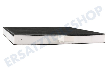 Neff Abzugshaube Filter Carbon mit Lippe