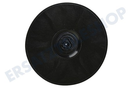 Bosch Abzugshaube 11005728 Filter Kohle