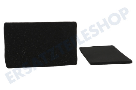 Alternative Abzugshaube Filter Eurofilter Kohlefilter, 2 Stück
