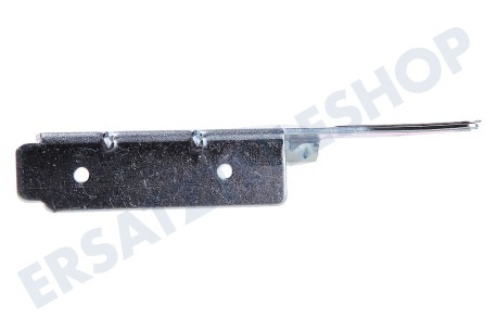 Bosch Ofen-Mikrowelle 436538, 00436538 Scharnier Tür, links