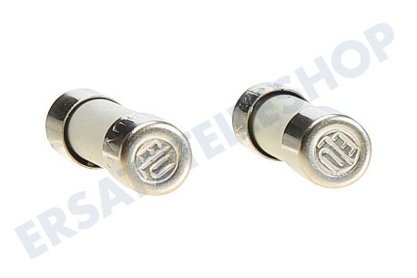 Neff Ofen-Mikrowelle 29469, 00029469 Sicherung 10A 250V