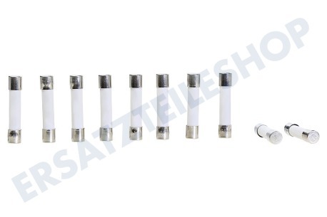 Gaggenau Ofen-Mikrowelle 152386, 00152386 Sicherung Keramik 6x32, 10 Ampere Flink