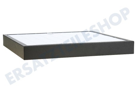 DeLonghi Luftbehandlung 5513710011 Filter für Luftreiniger AC100, AC150