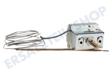 Bauknecht Ofen-Mikrowelle Thermostat Mit Stiftsensor
