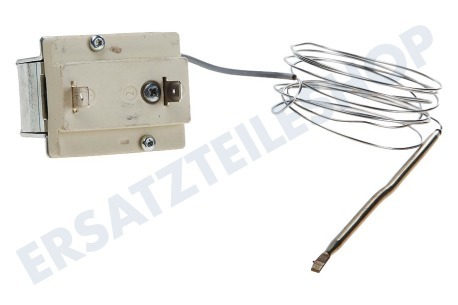 Bauknecht Ofen-Mikrowelle Thermostat Mit Stiftsensor