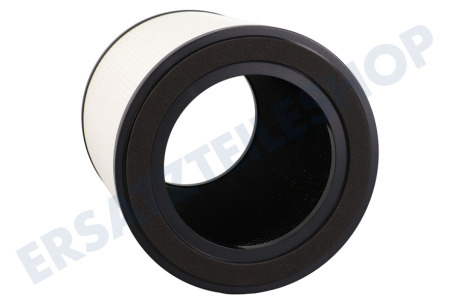 Rowenta Filter