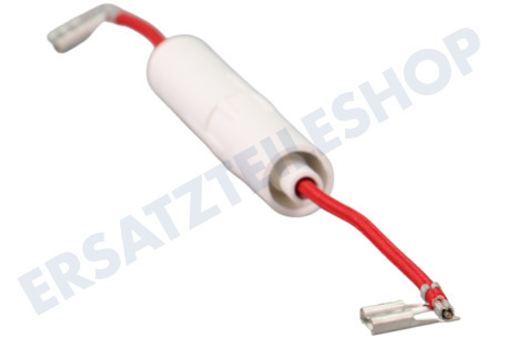 Samsung Ofen-Mikrowelle DE91-70061A Sicherung 5 kV 0,8 Ampere