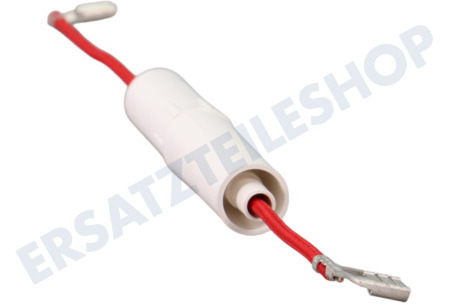 Samsung Ofen-Mikrowelle DE91-70061A Sicherung 5 kV 0,8 Ampere