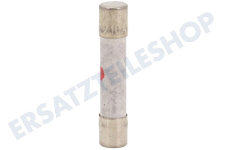 Samsung Ofen-Mikrowelle 3601-000448 10A Sicherung