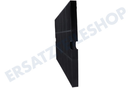 Neff Abzugshaube Filter Carbon 44x27X2 EFF52