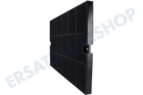 Neff Abzugshaube Filter Carbon 44x27X2 EFF52