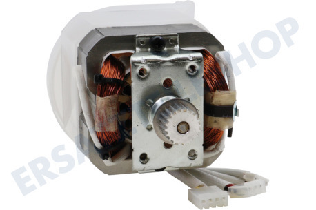 Kenwood Motor