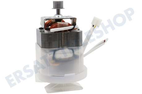 Kenwood Motor