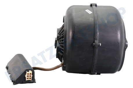 Inventum Abzugshaube Motor