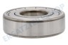 EDY Waschmaschine Lager 6204 ZZ 20 x 47 x 14 mm