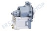 Castor Waschmaschine Pumpe Magnet -Askoll-