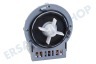 Castor Waschmaschine Pumpe Magnet -Askoll-