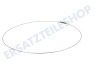 Zanussi Waschmaschine Spannring