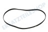 Iee Waschmaschine Keilrippenriemen 1196 PJE J6 TEM