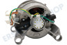 John Lewis Waschmaschine Motor komplett