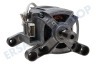 Zanussi Waschmaschine Motor Komplett, 5 Kontakte