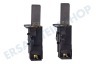 AEG Waschmaschine Kohlebürste in Halter (L) Set von 2, Schunk