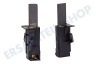 AEG Waschmaschine Kohlebürste in Halter (links) 5x12,5 PM Motor