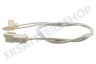 Electrolux Waschmaschine Kabel des Feuchtigkeitssensors